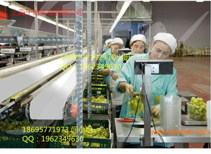 供應(yīng)食品白色耐油1.2mmpu輸送帶,供應(yīng)食品白色耐油1.2mmpu輸送帶生產(chǎn)廠(chǎng)家,供應(yīng)食品白色耐油1.2mmpu輸送帶價(jià)格